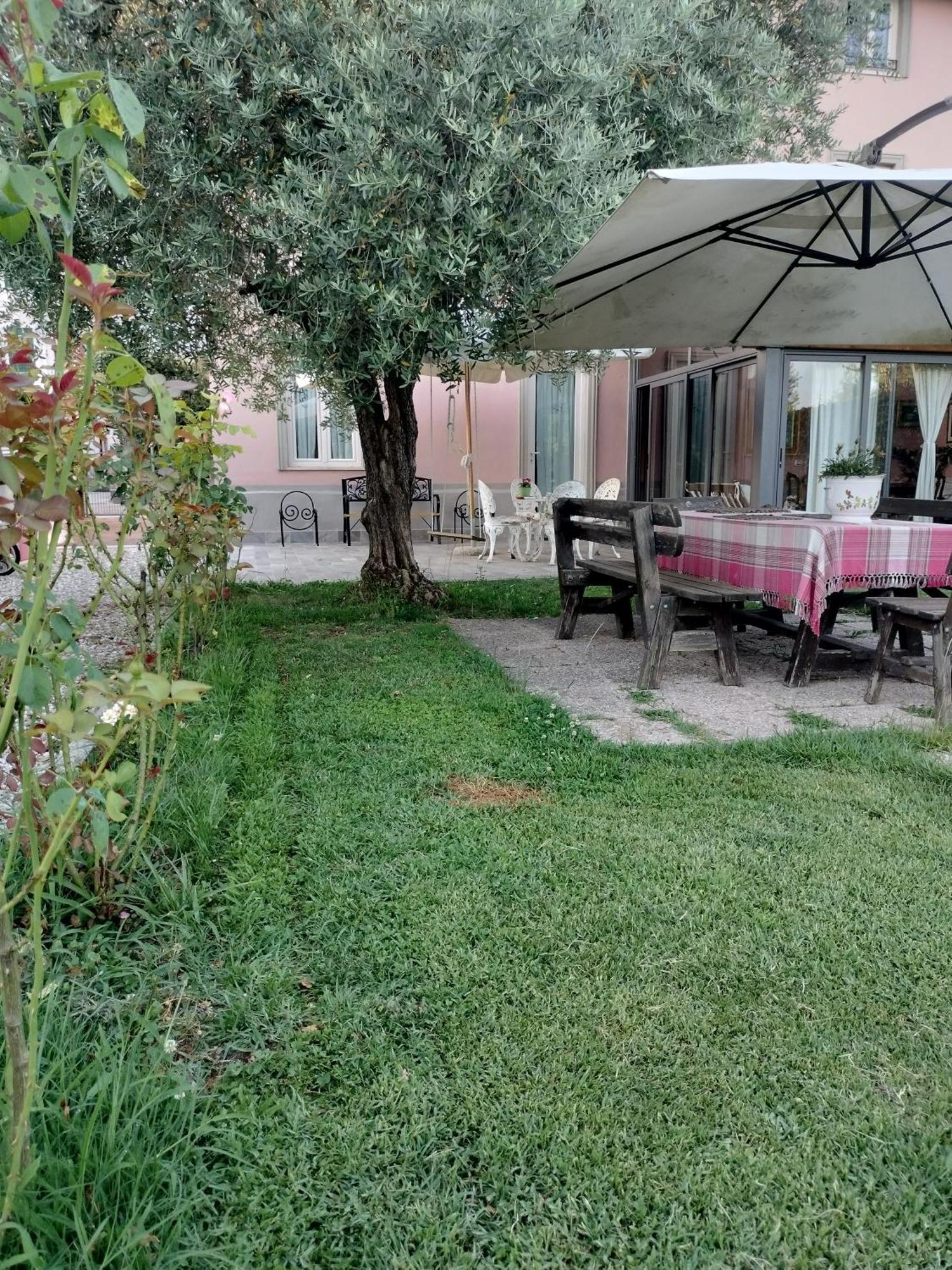BeB La Rosa Nel Verde Lucca Exterior foto
